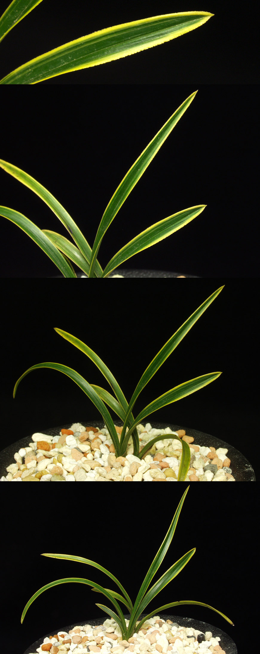 ������ ū������ �� �� �ֽ��ϴ�.