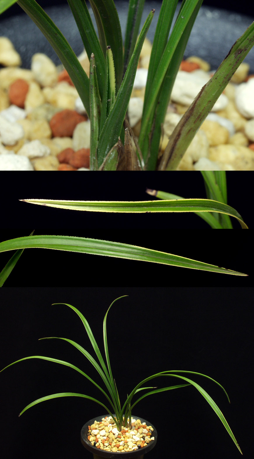 ������ ū������ �� �� �ֽ��ϴ�.