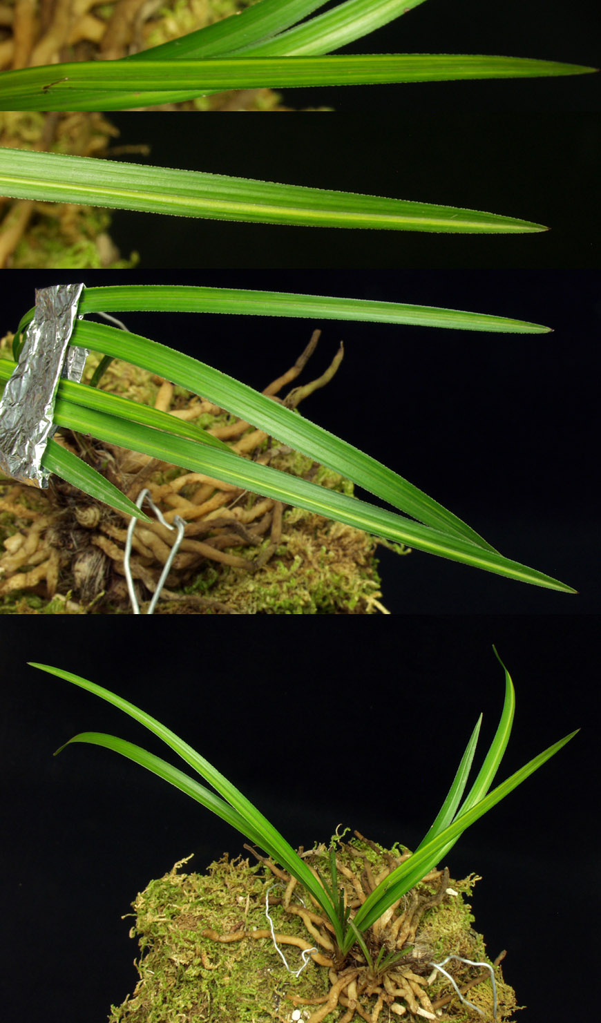 ������ ū������ �� �� �ֽ��ϴ�.