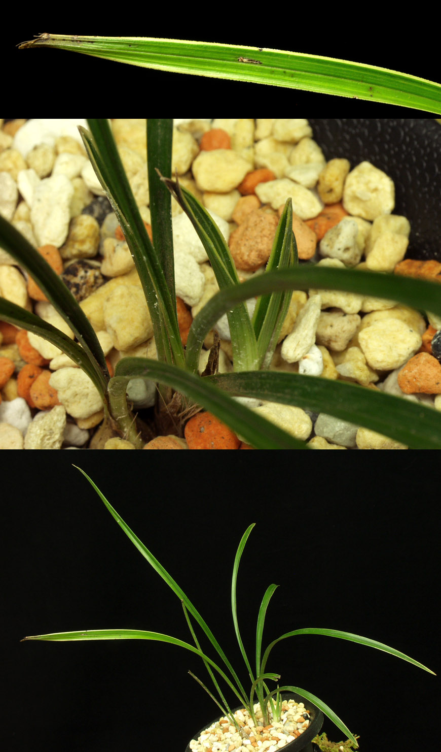 ������ ū������ �� �� �ֽ��ϴ�.