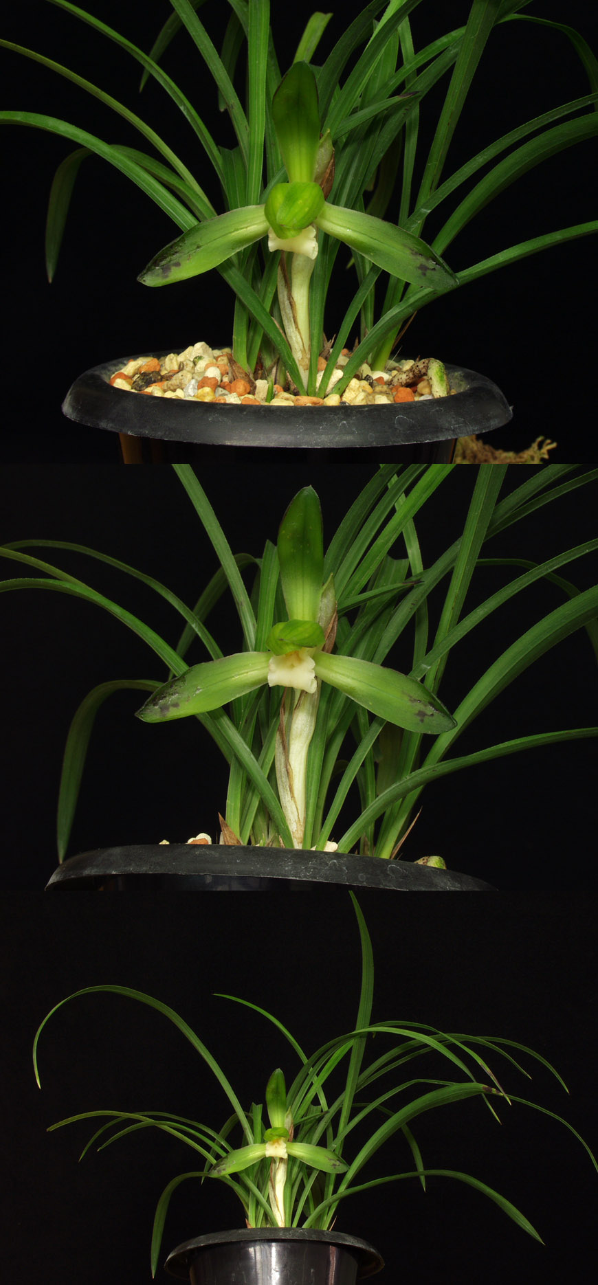 ������ ū������ �� �� �ֽ��ϴ�.