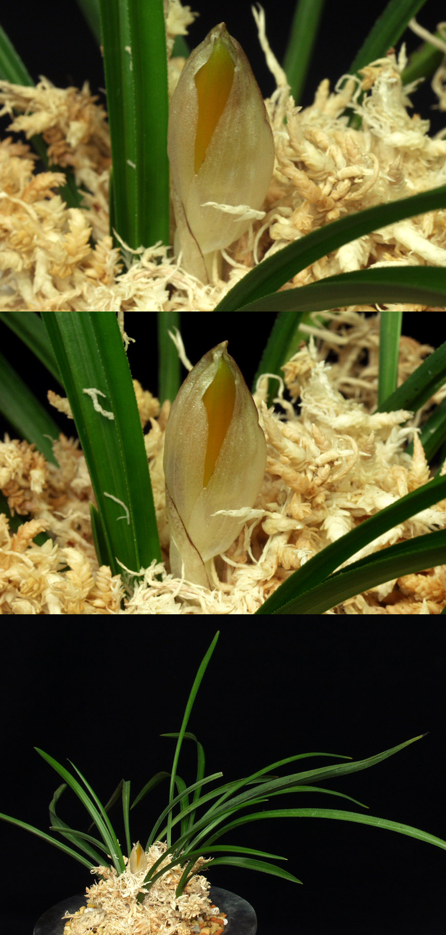 ������ ū������ �� �� �ֽ��ϴ�.