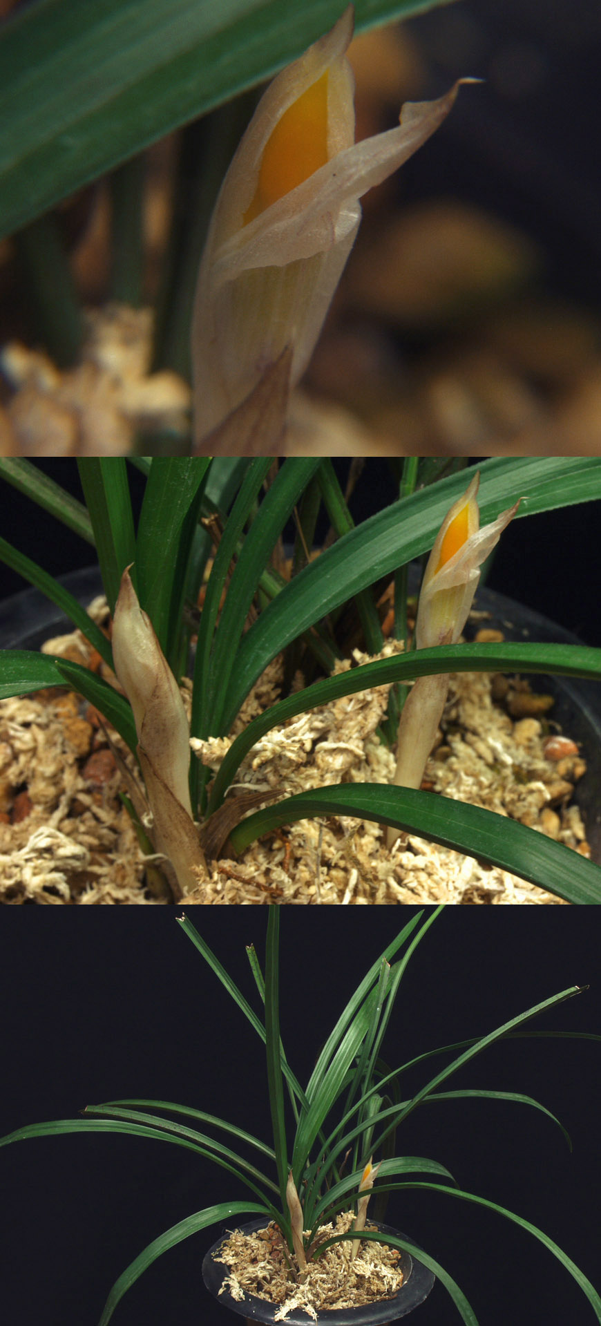 ������ ū������ �� �� �ֽ��ϴ�.