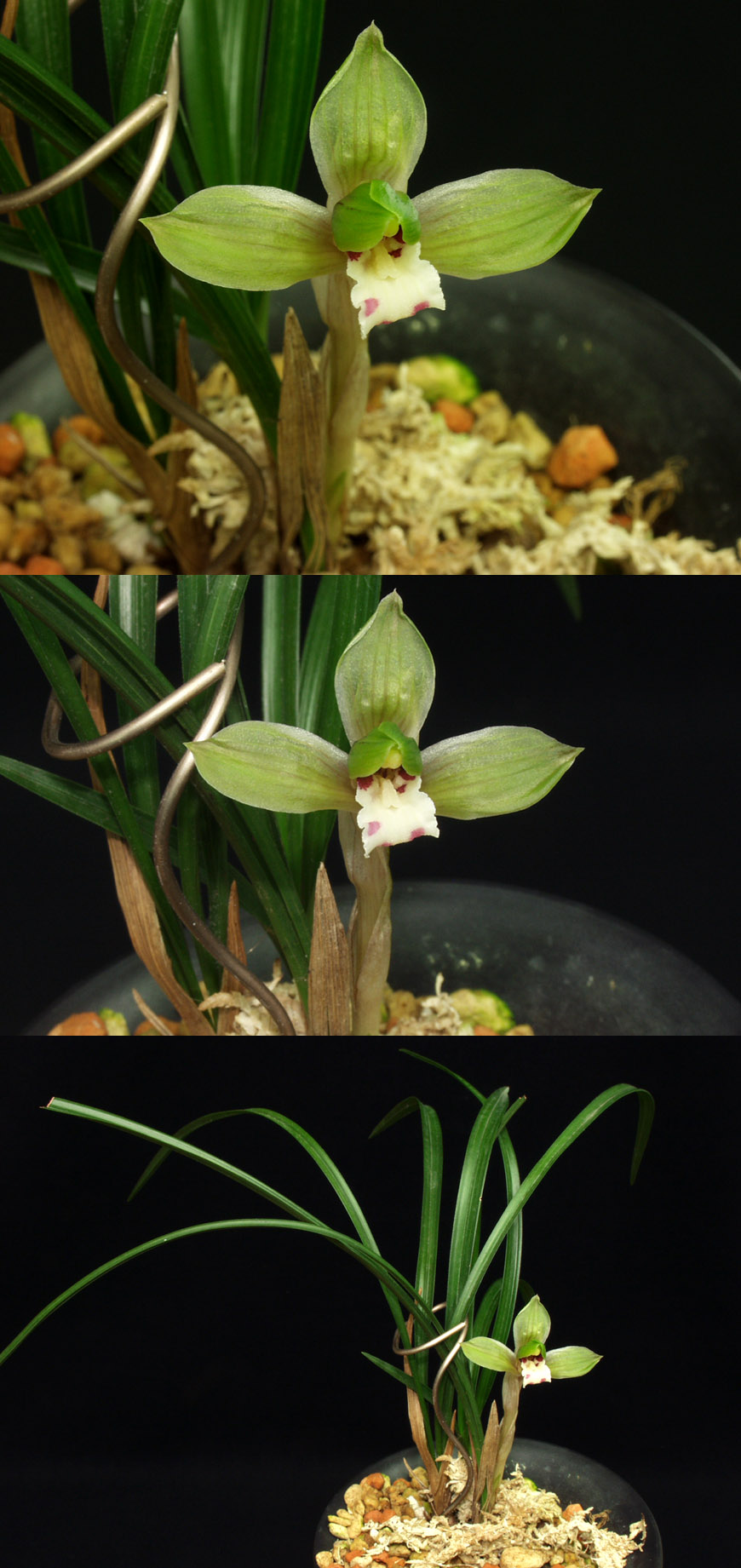 ������ ū������ �� �� �ֽ��ϴ�.