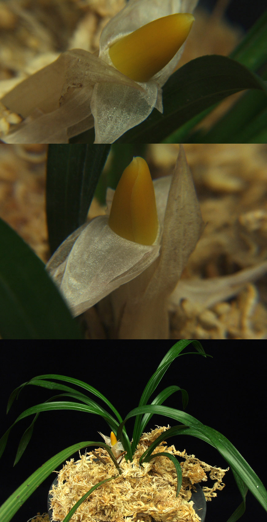 ������ ū������ �� �� �ֽ��ϴ�.