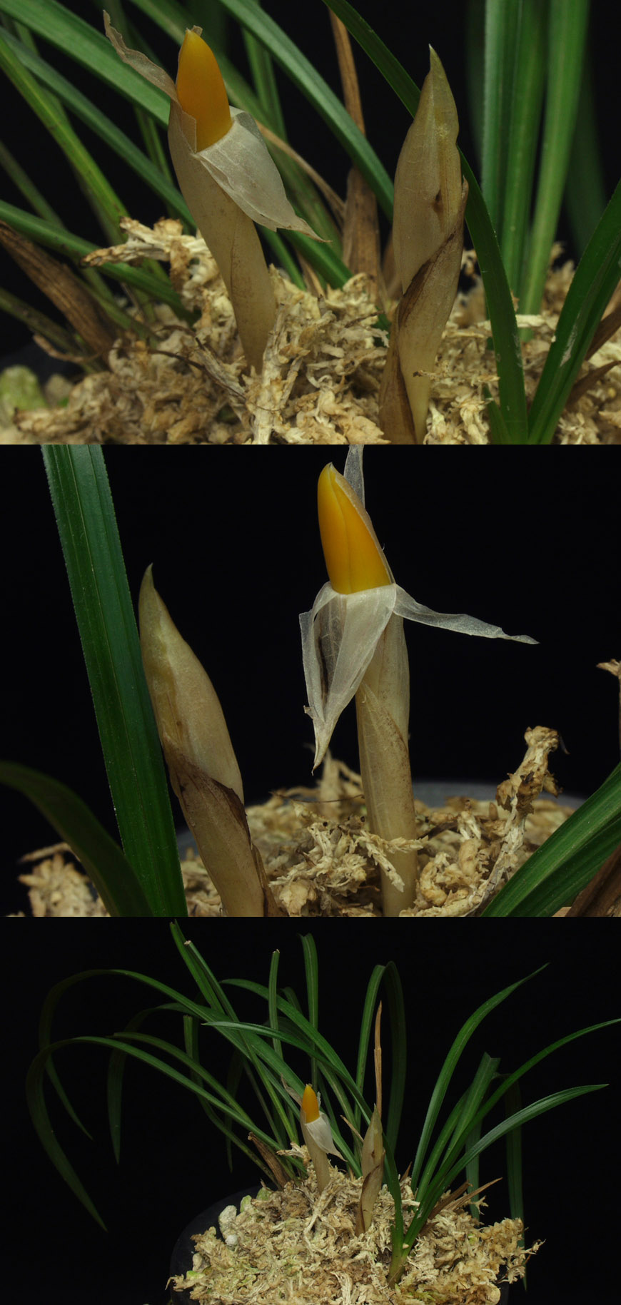 ������ ū������ �� �� �ֽ��ϴ�.