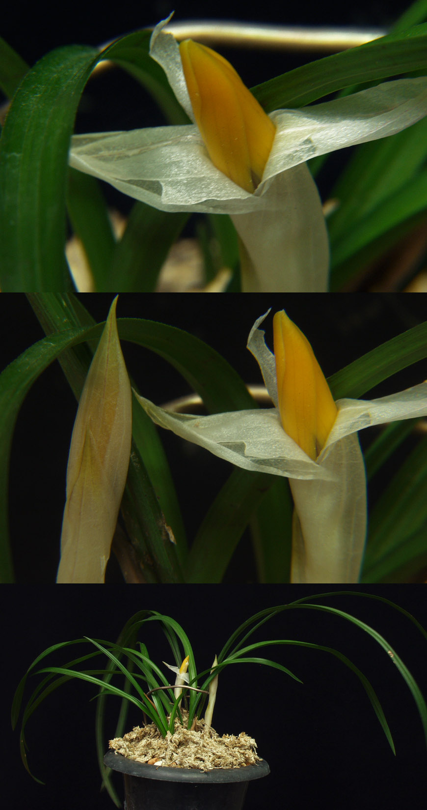 ������ ū������ �� �� �ֽ��ϴ�.