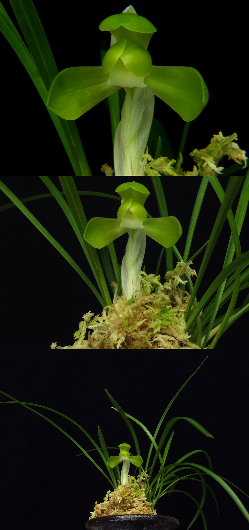 ������ ū������ �� �� �ֽ��ϴ�.