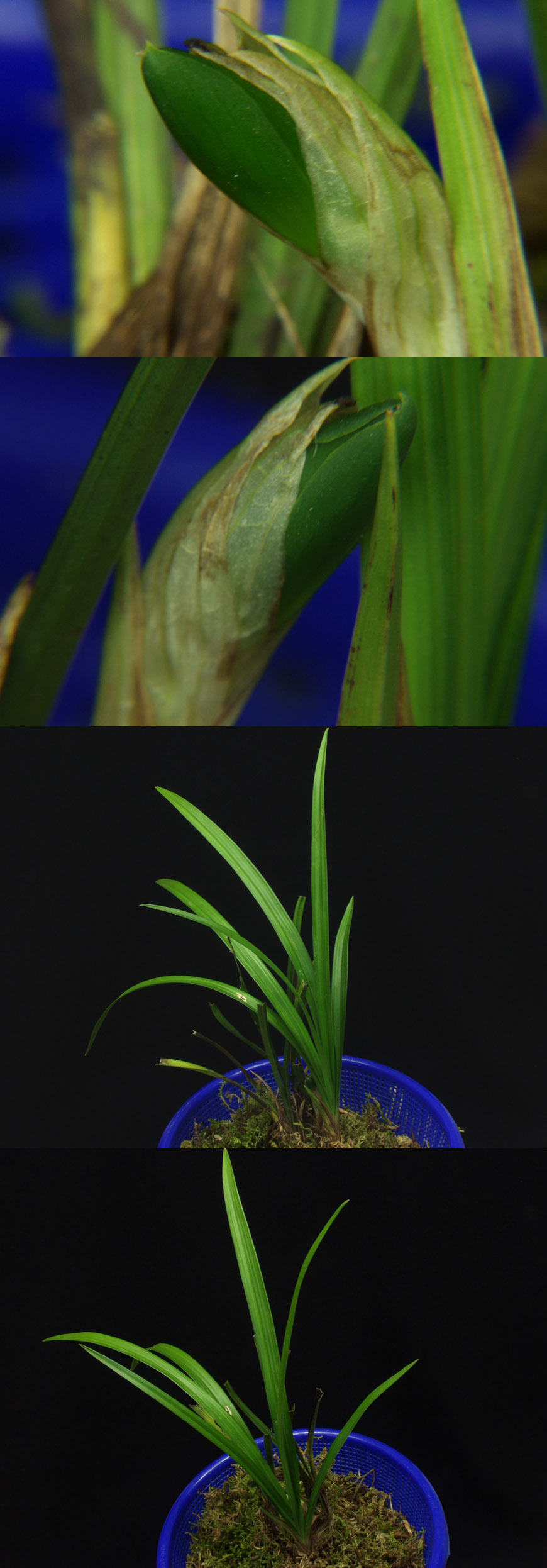 ������ ū������ �� �� �ֽ��ϴ�.