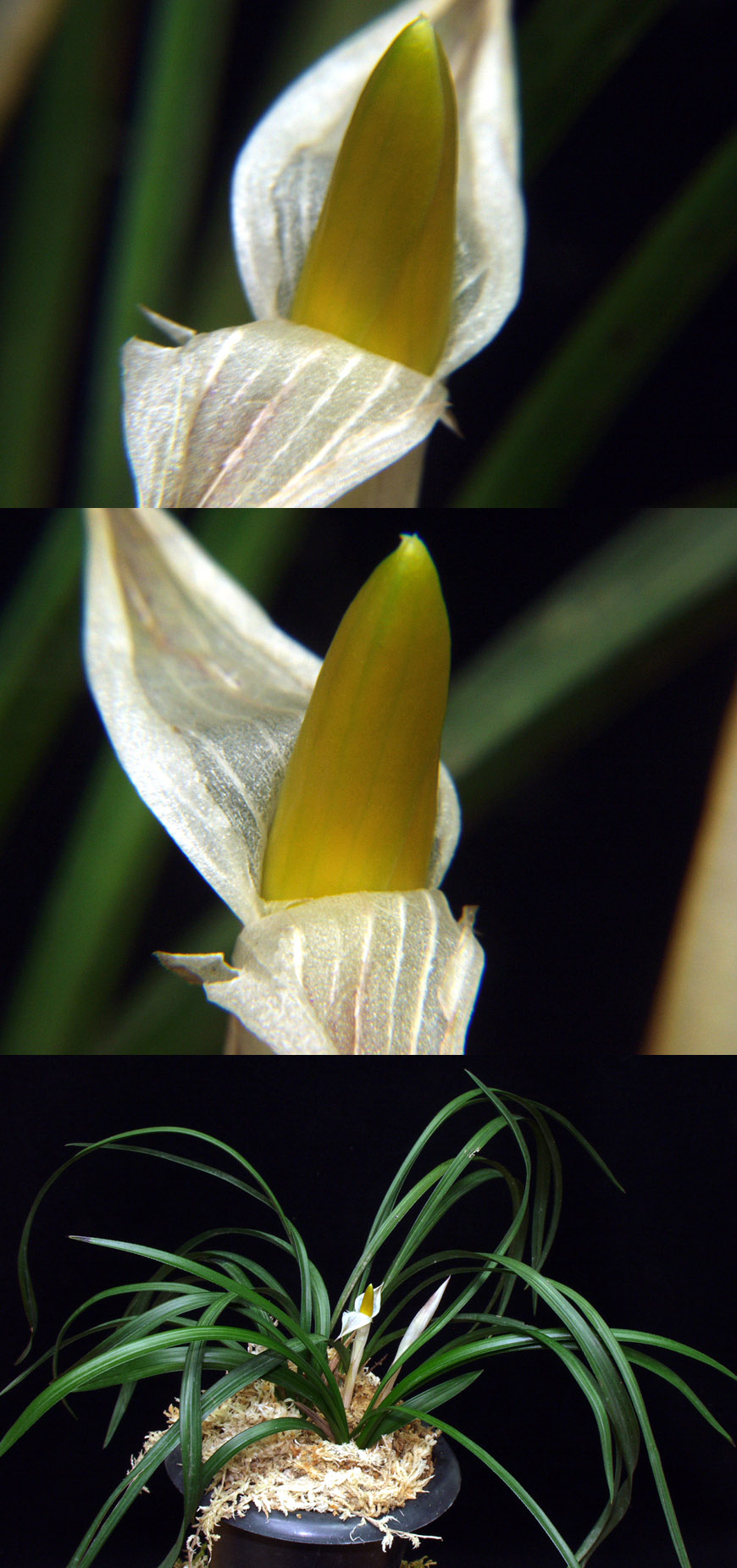 ������ ū������ �� �� �ֽ��ϴ�.