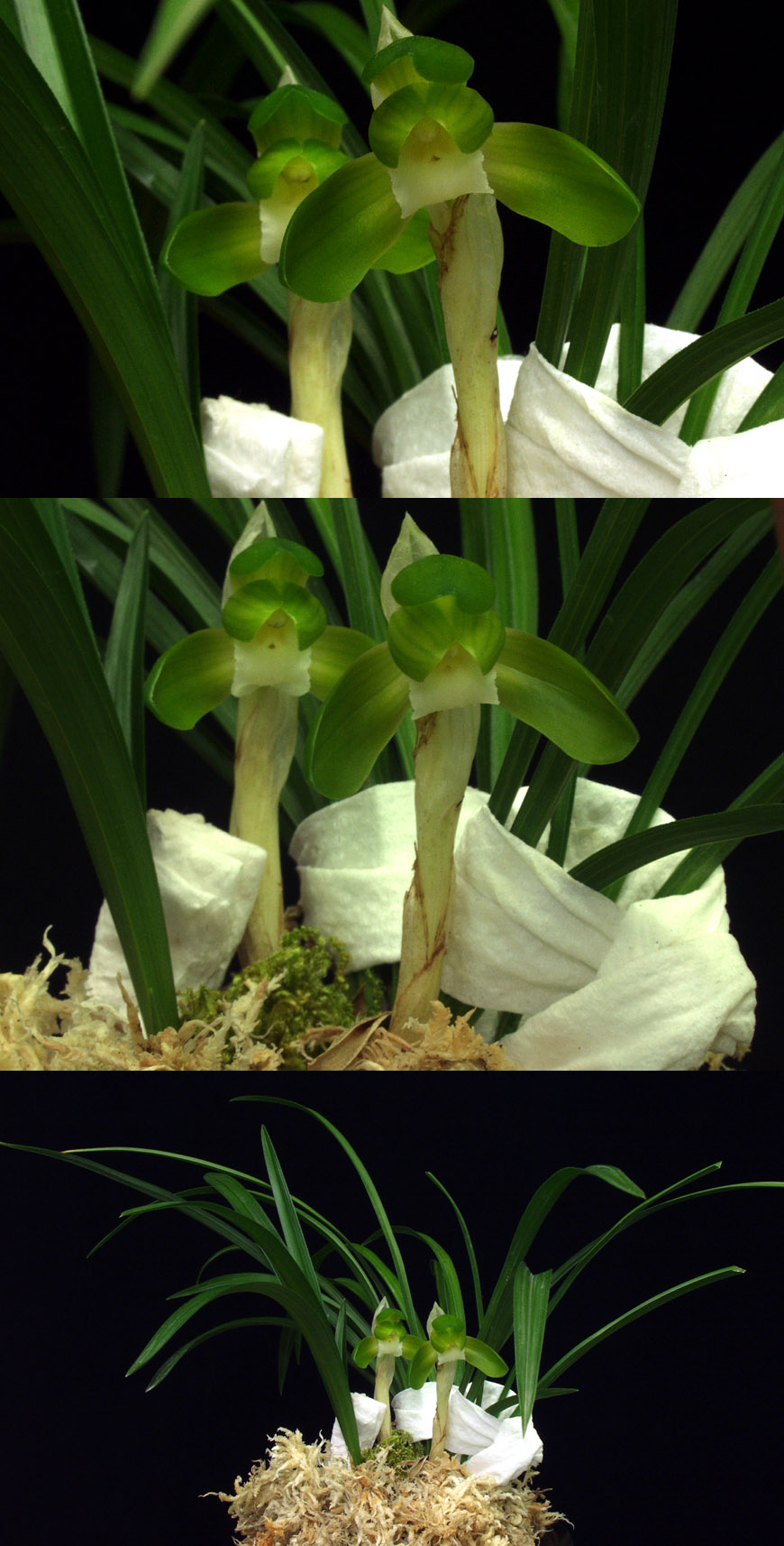 ������ ū������ �� �� �ֽ��ϴ�.