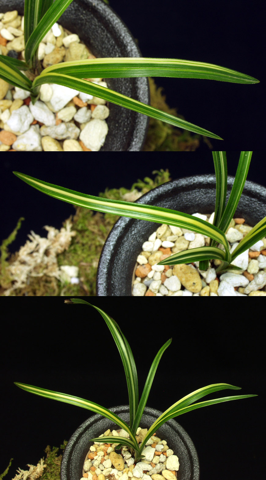 ������ ū������ �� �� �ֽ��ϴ�.