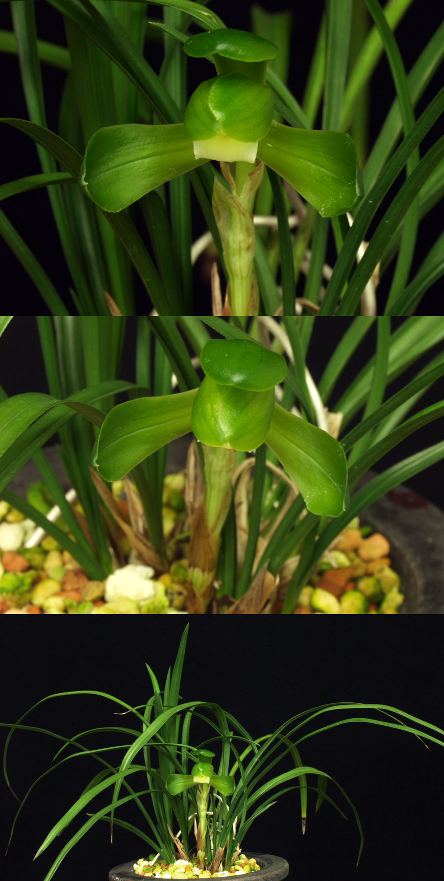 ������ ū������ �� �� �ֽ��ϴ�.