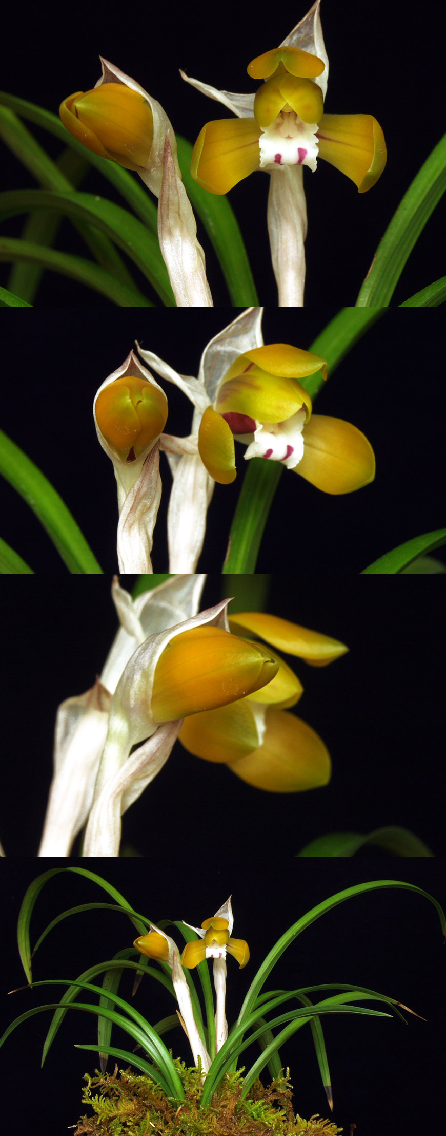 ������ ū������ �� �� �ֽ��ϴ�.