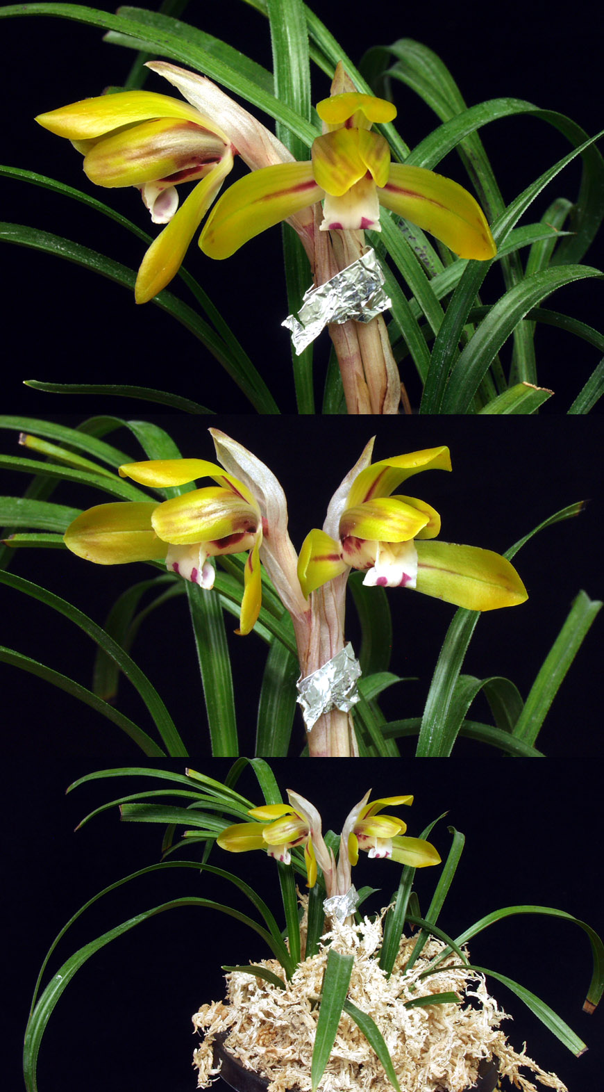 ������ ū������ �� �� �ֽ��ϴ�.