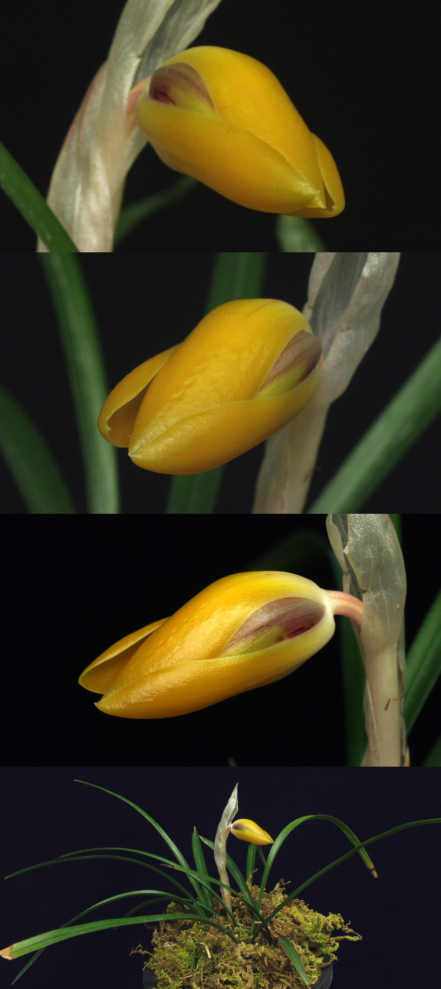 ������ ū������ �� �� �ֽ��ϴ�.