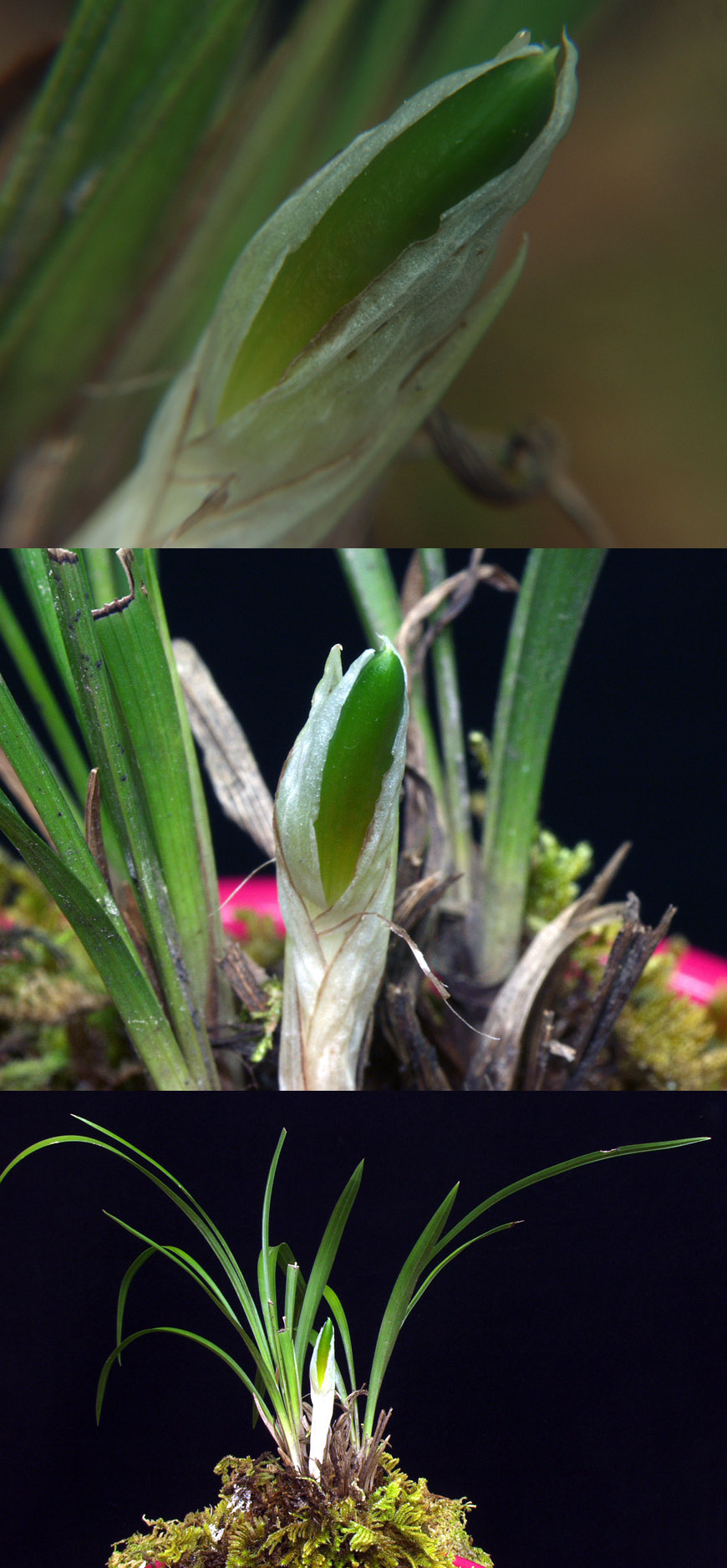 ������ ū������ �� �� �ֽ��ϴ�.