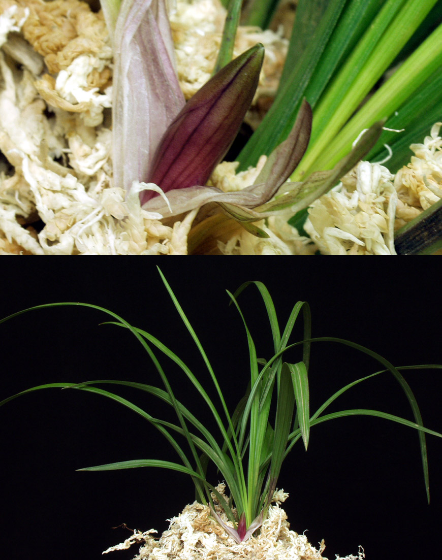 ������ ū������ �� �� �ֽ��ϴ�.