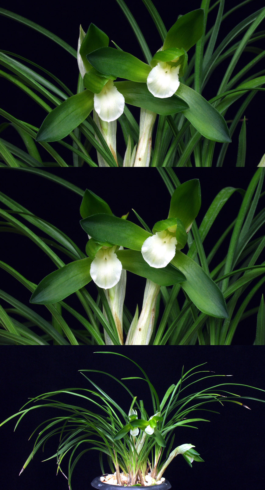 ������ ū������ �� �� �ֽ��ϴ�.