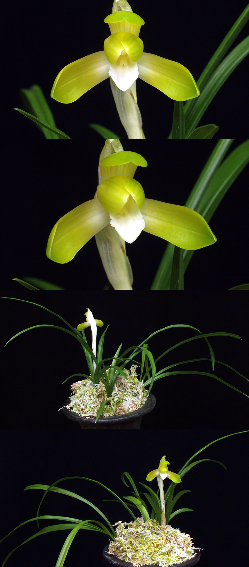 ������ ū������ �� �� �ֽ��ϴ�.