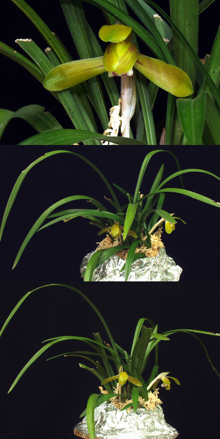 ������ ū������ �� �� �ֽ��ϴ�.