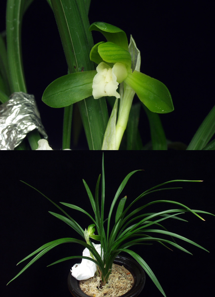 ������ ū������ �� �� �ֽ��ϴ�.