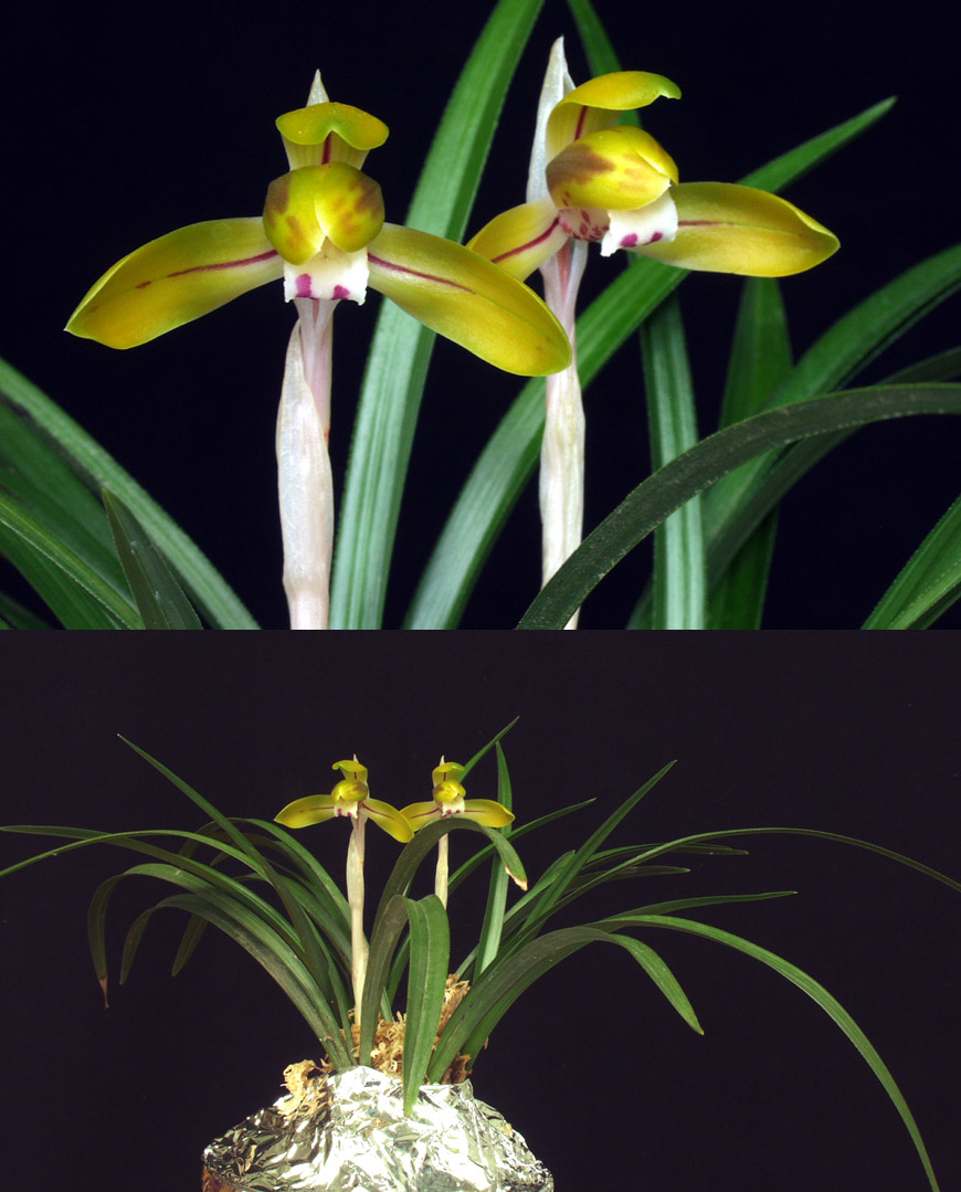 ������ ū������ �� �� �ֽ��ϴ�.