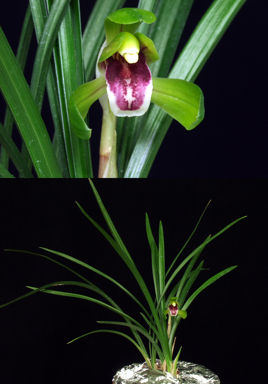 ������ ū������ �� �� �ֽ��ϴ�.