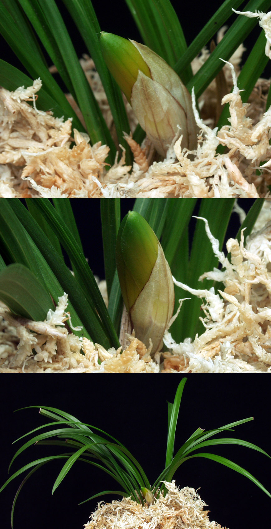 ������ ū������ �� �� �ֽ��ϴ�.