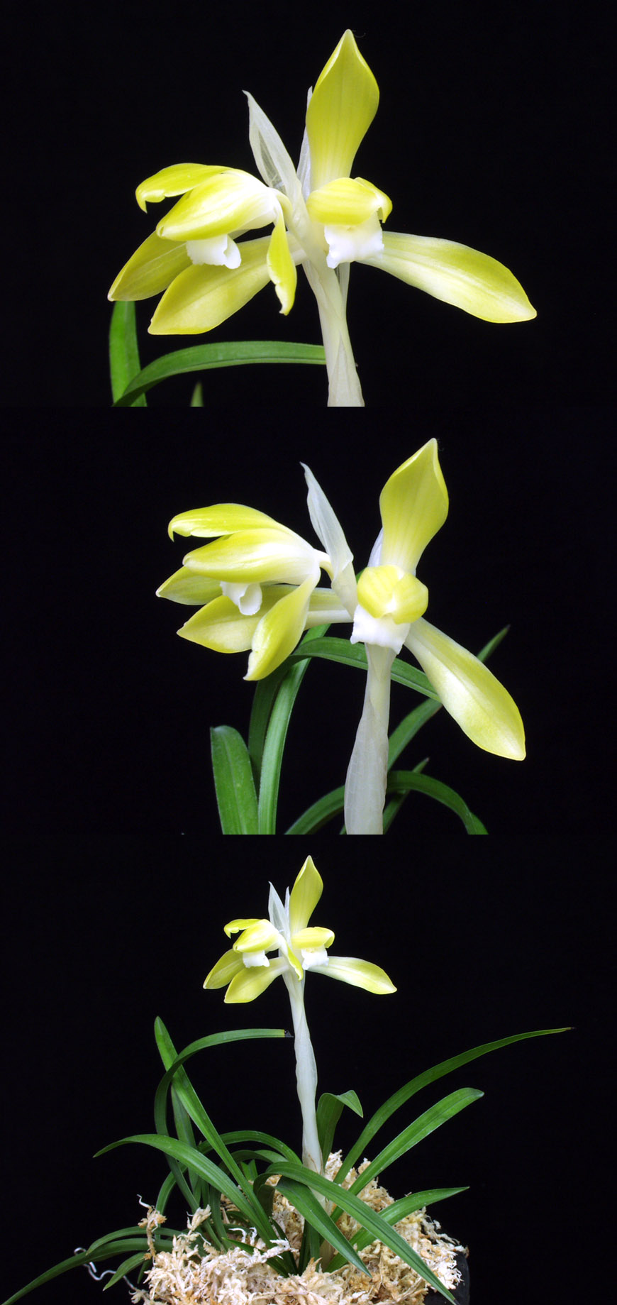 ������ ū������ �� �� �ֽ��ϴ�.