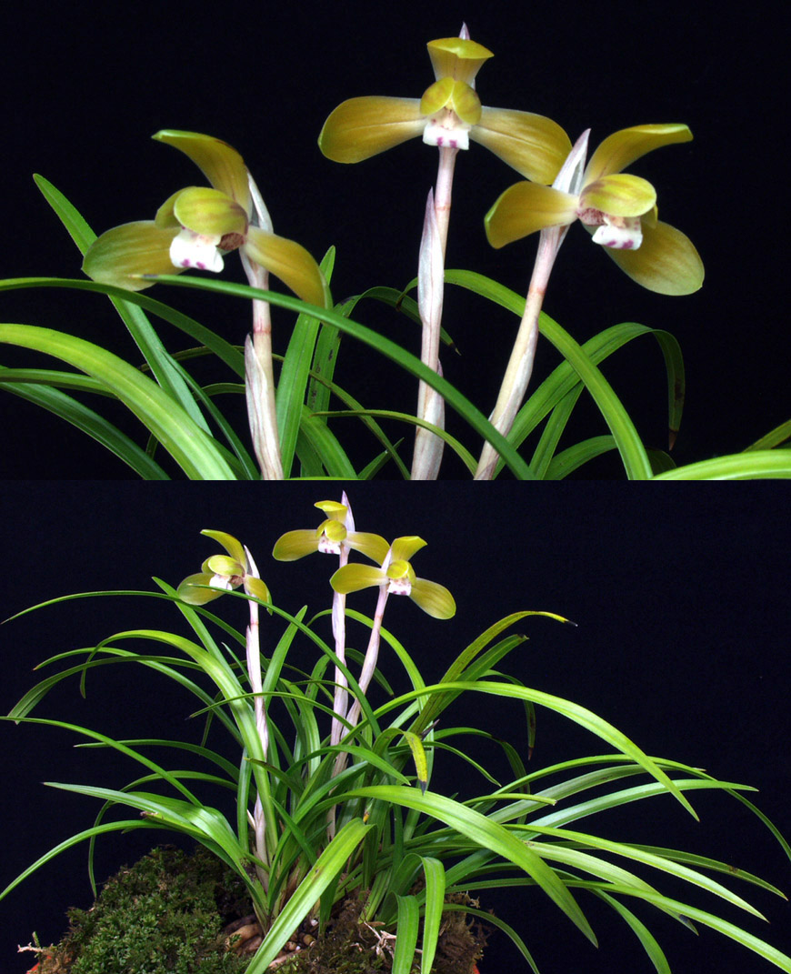 ������ ū������ �� �� �ֽ��ϴ�.