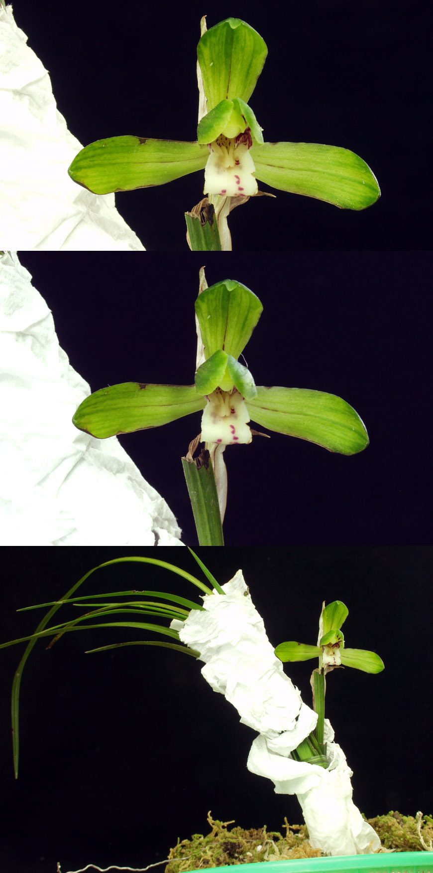 ������ ū������ �� �� �ֽ��ϴ�.