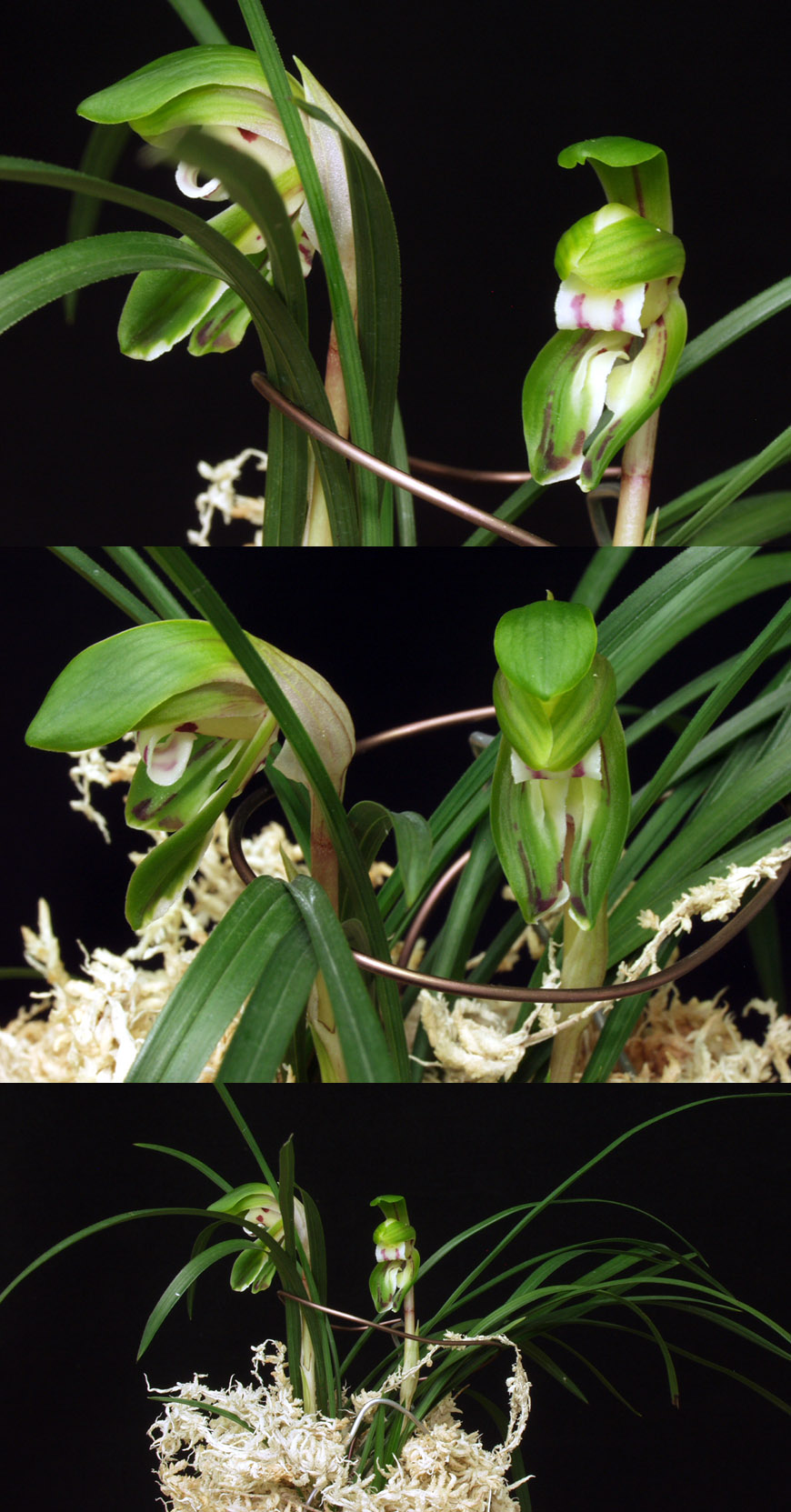 ������ ū������ �� �� �ֽ��ϴ�.