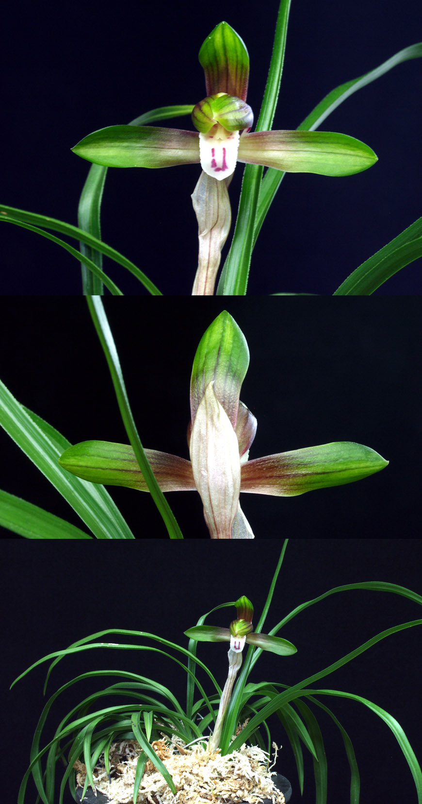 ������ ū������ �� �� �ֽ��ϴ�.