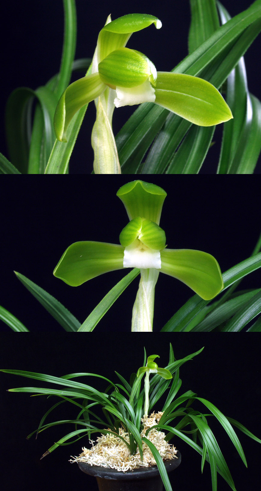 ������ ū������ �� �� �ֽ��ϴ�.