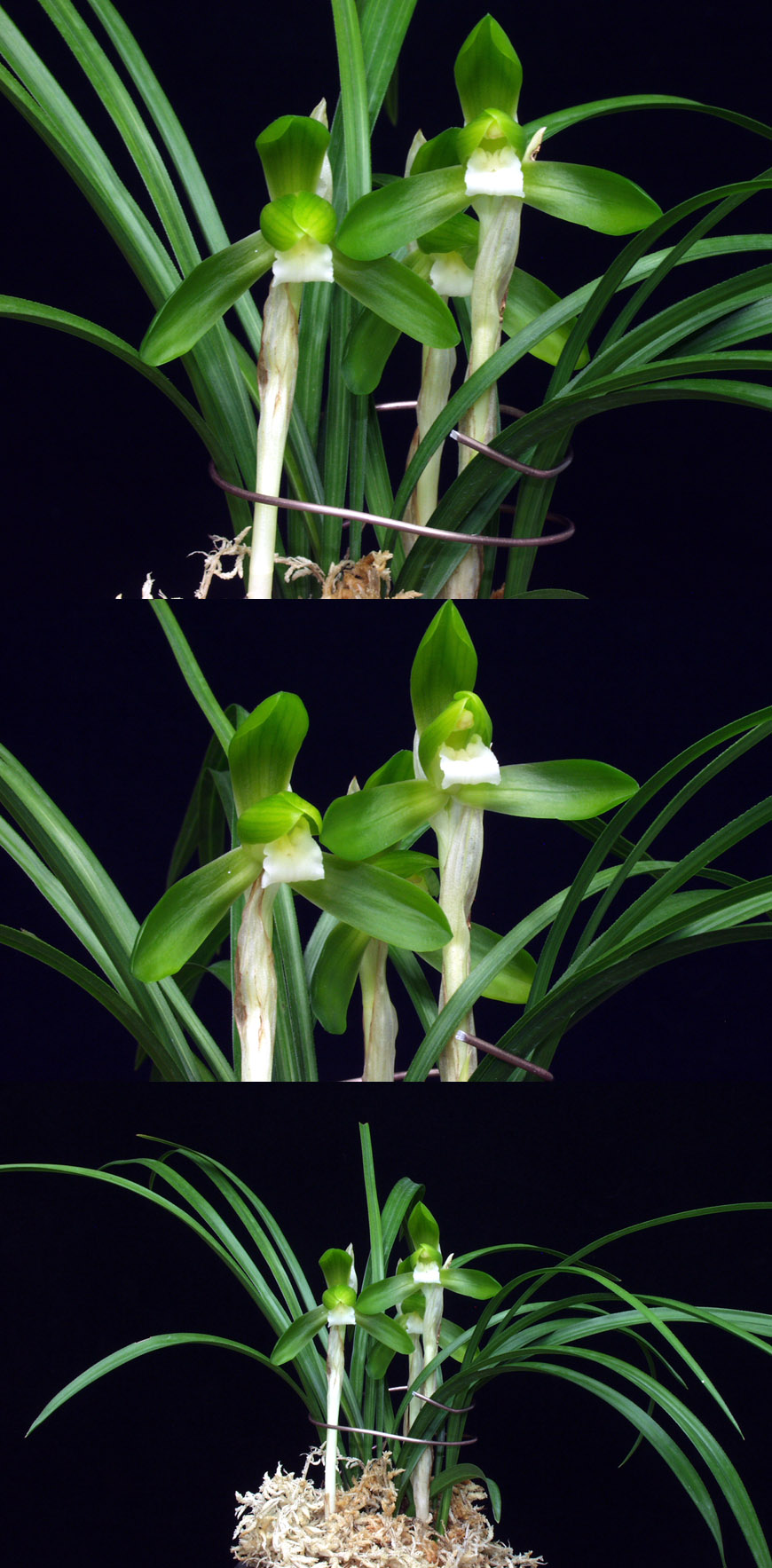 ������ ū������ �� �� �ֽ��ϴ�.