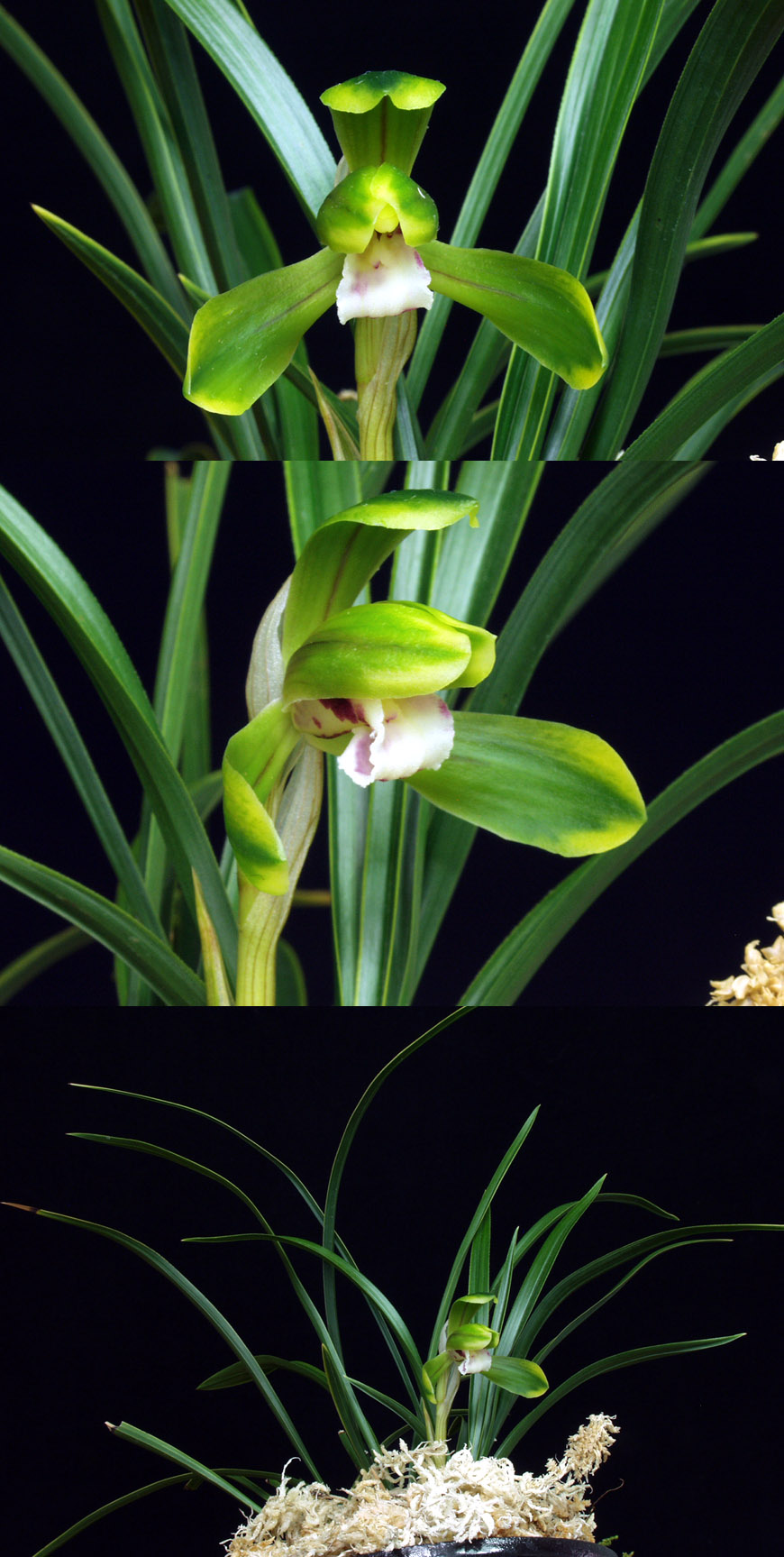 ������ ū������ �� �� �ֽ��ϴ�.