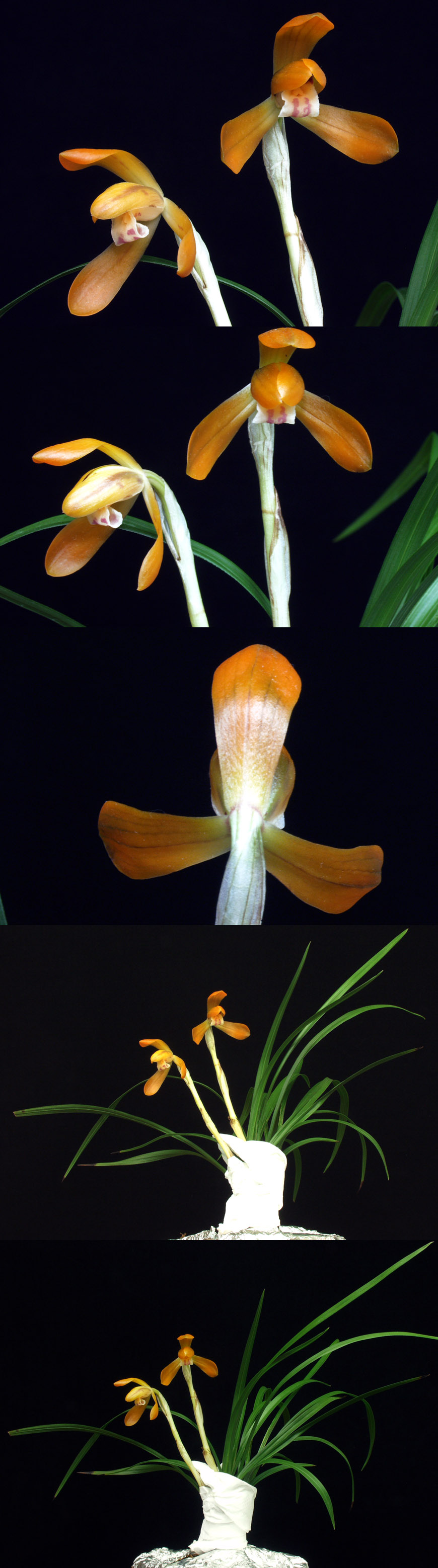 ������ ū������ �� �� �ֽ��ϴ�.