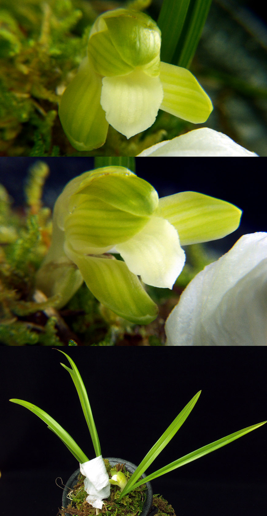 ������ ū������ �� �� �ֽ��ϴ�.