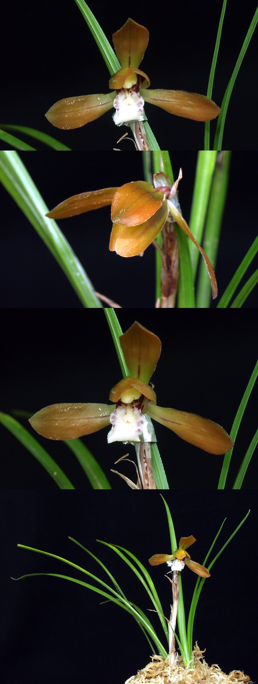 ������ ū������ �� �� �ֽ��ϴ�.