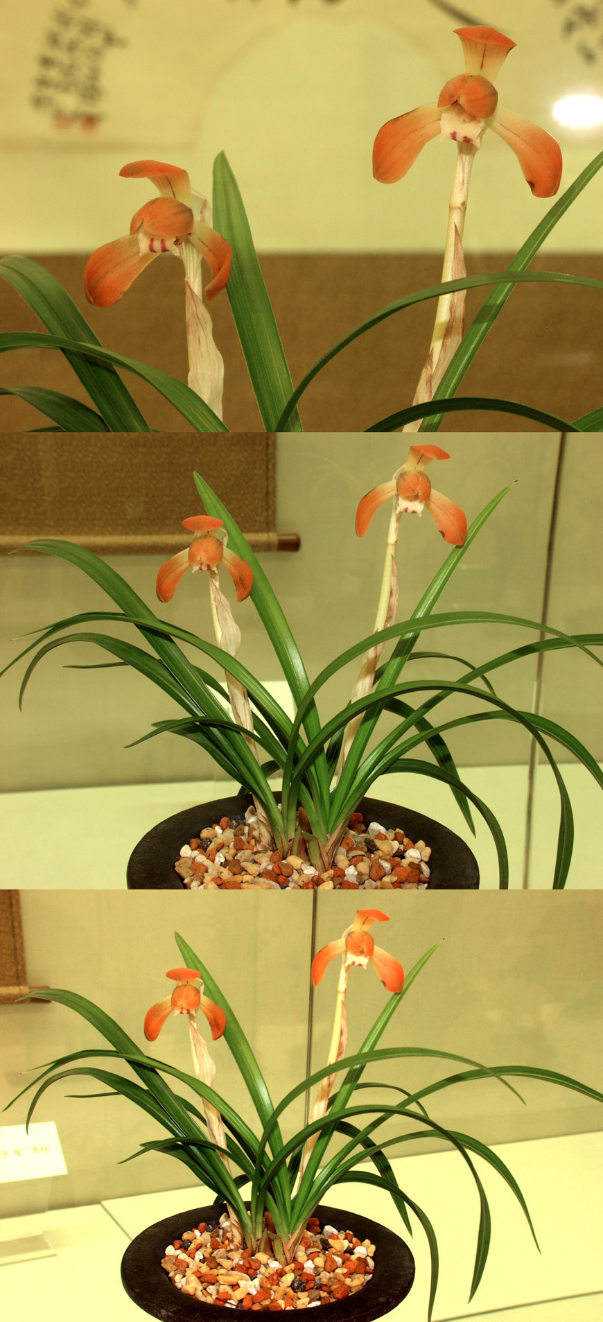 ������ ū������ �� �� �ֽ��ϴ�.