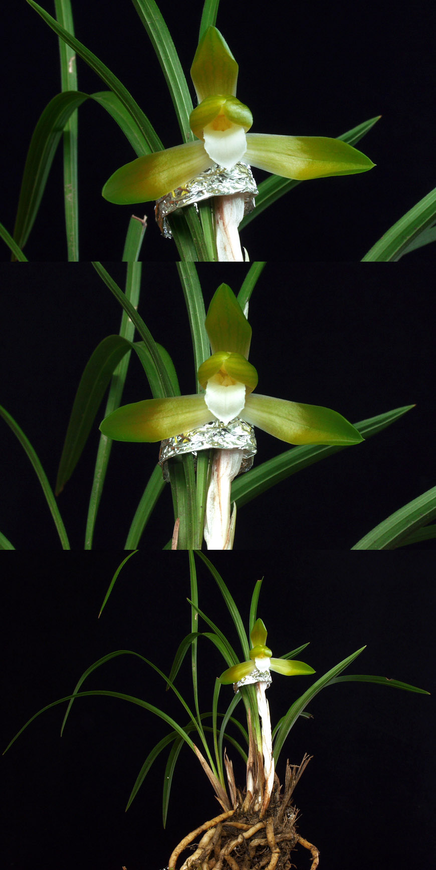 ������ ū������ �� �� �ֽ��ϴ�.