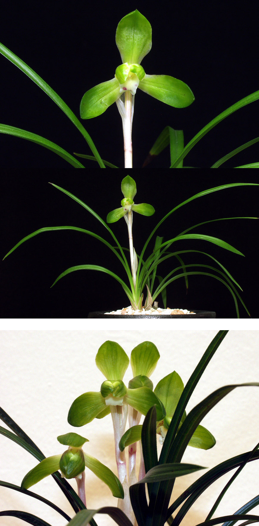 ������ ū������ �� �� �ֽ��ϴ�.