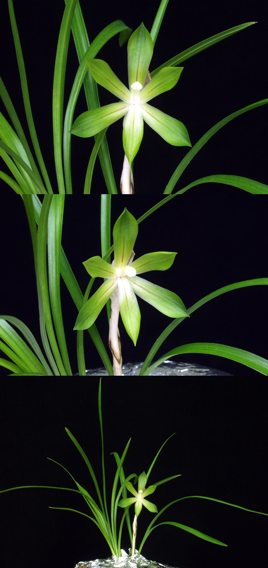 ������ ū������ �� �� �ֽ��ϴ�.