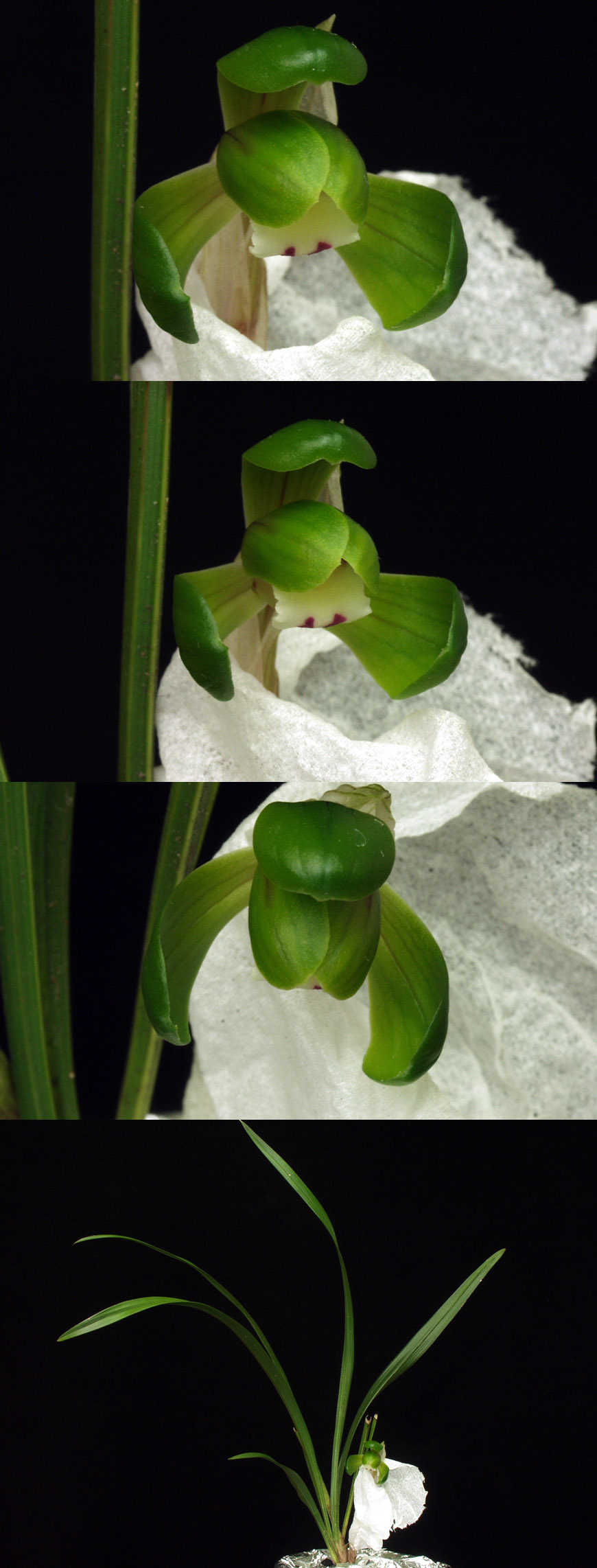 ������ ū������ �� �� �ֽ��ϴ�.