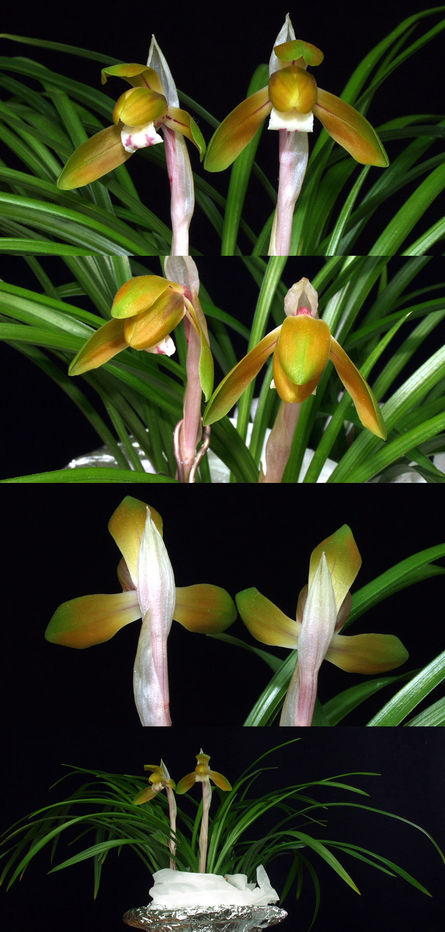 ������ ū������ �� �� �ֽ��ϴ�.