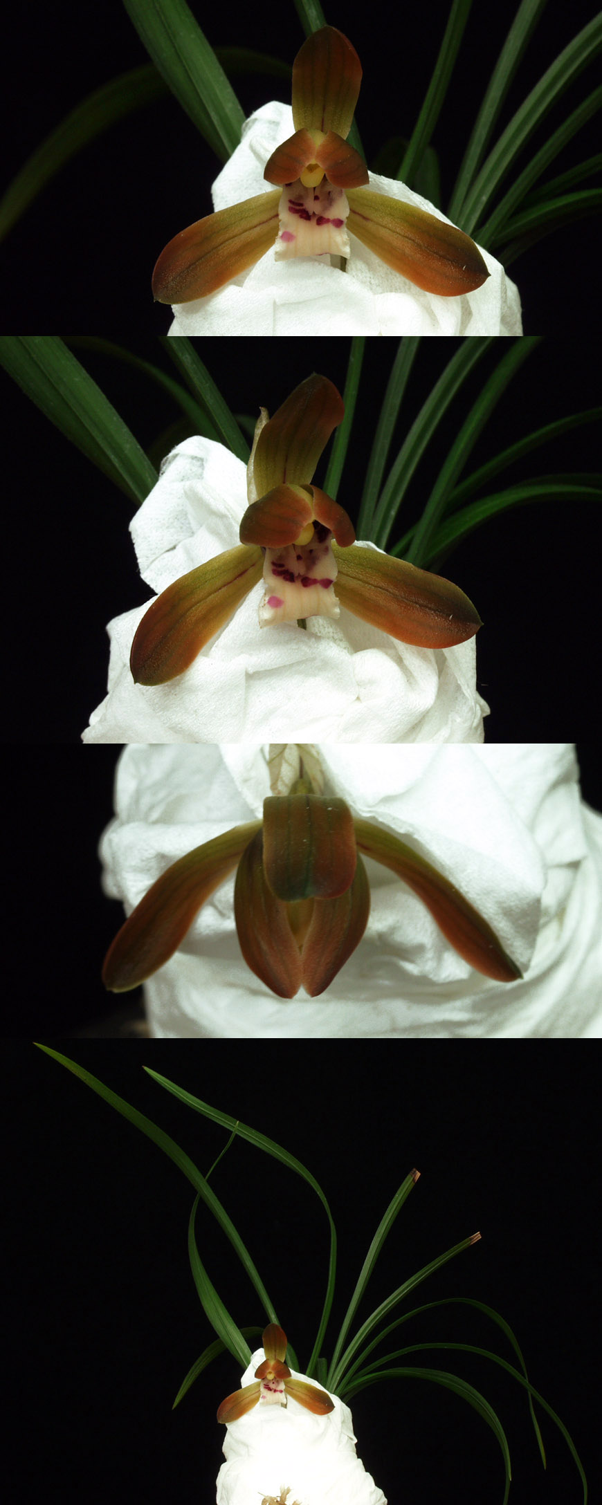 ������ ū������ �� �� �ֽ��ϴ�.