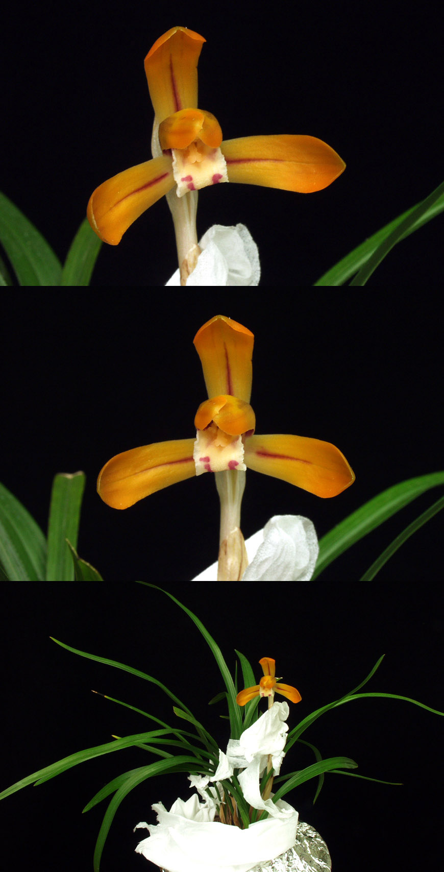 ������ ū������ �� �� �ֽ��ϴ�.