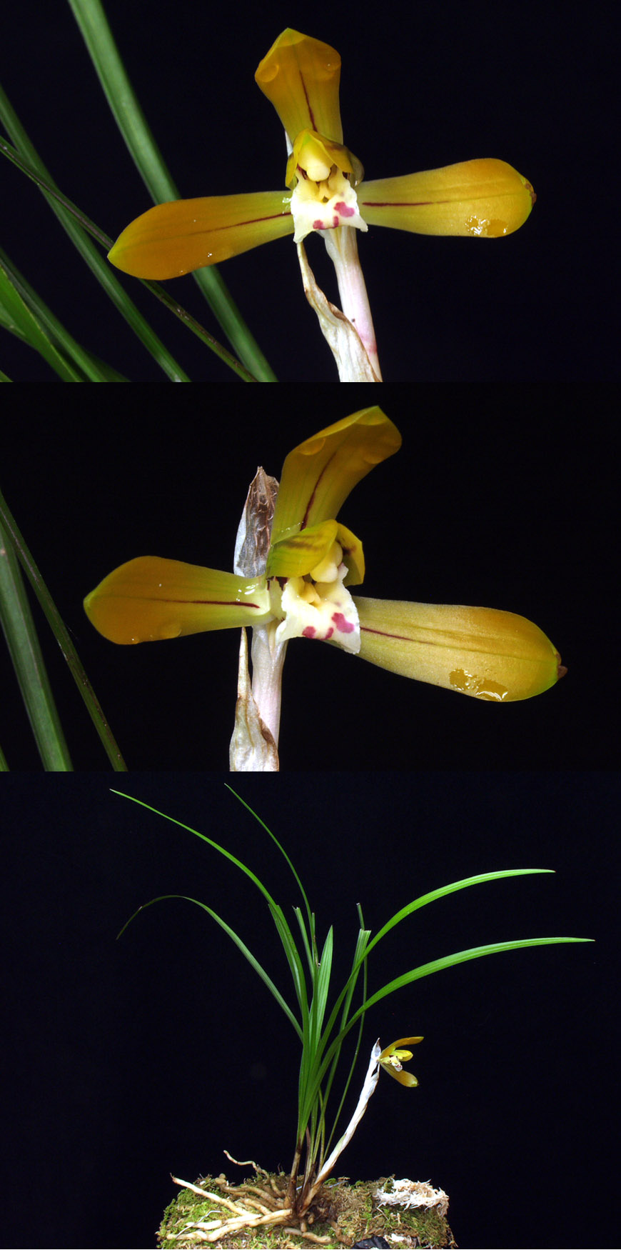 ������ ū������ �� �� �ֽ��ϴ�.