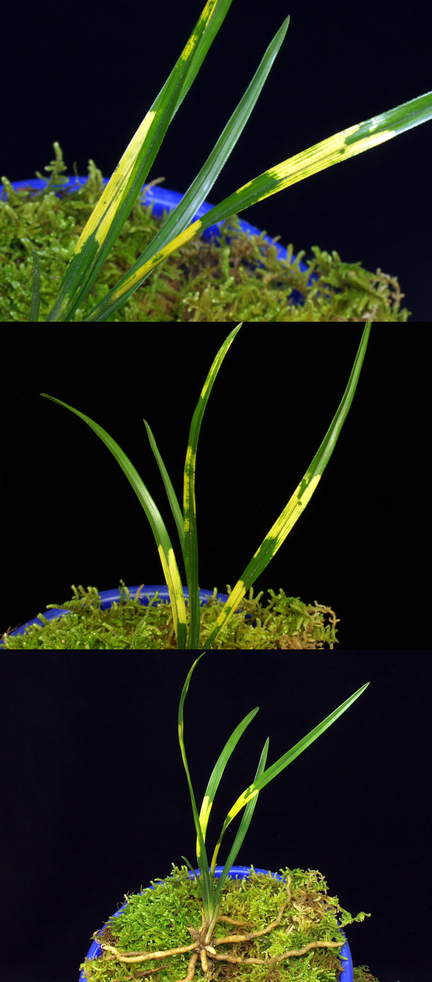 ������ ū������ �� �� �ֽ��ϴ�.